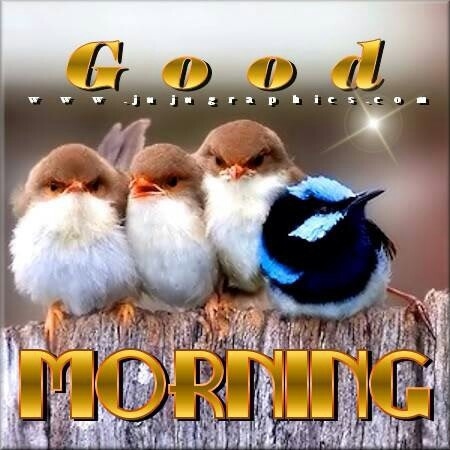 Good Morning