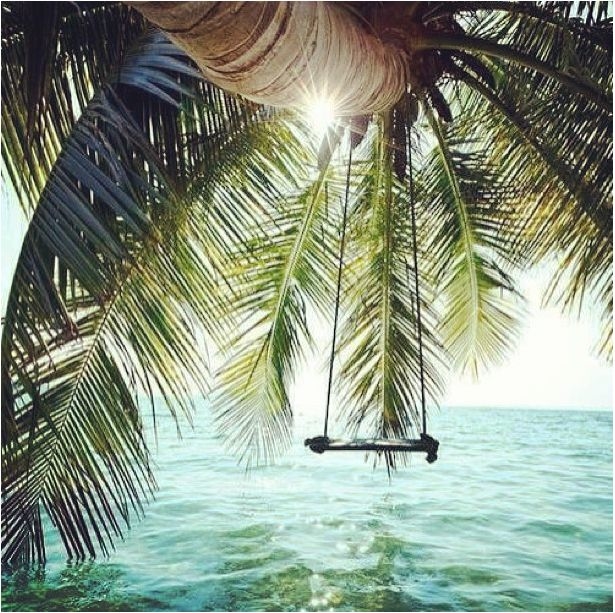 Secret Swing