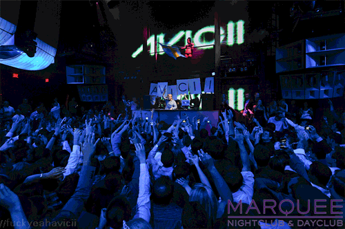 Avicii