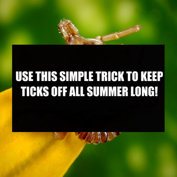 USE THIS SIMPLE TRICK TO KEEP TICKS OFF ALL SUMMER LONG!