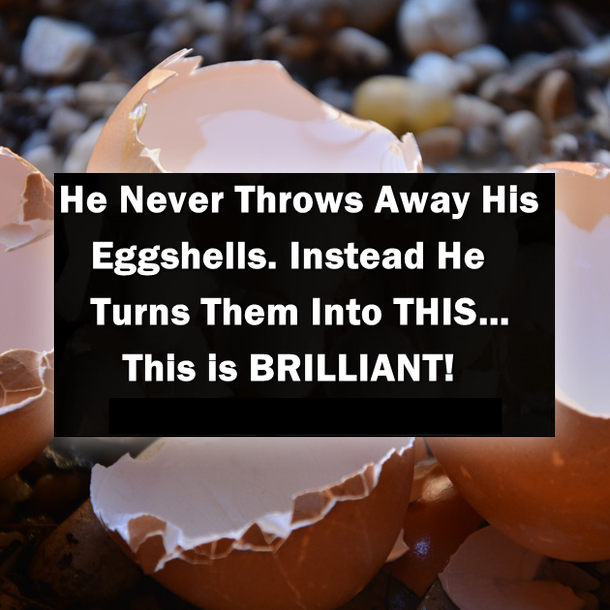 Think twice before throwing out your eggshells. Here's 12 brilliant reasons why you should use them in your garden