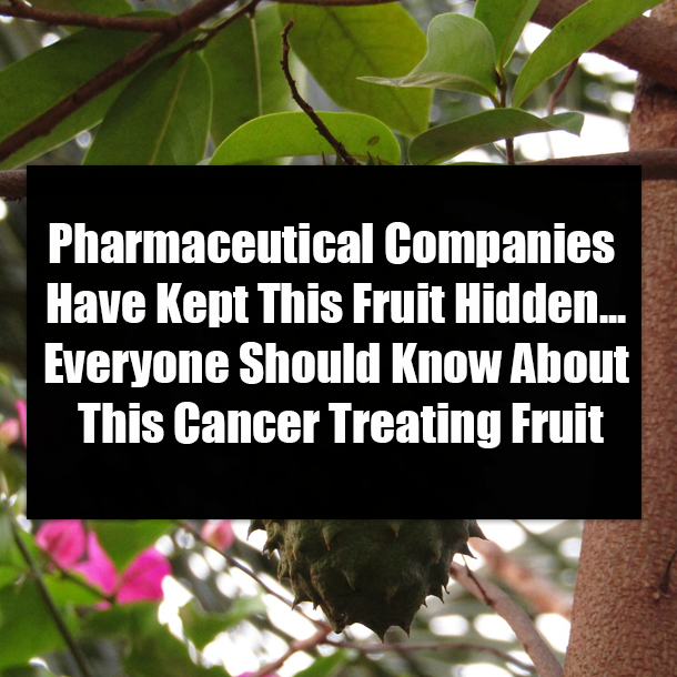Pharmaceutical Companies Have Kept This Fruit Hidden...Everyone Should Know About This Cancer Treating Fruit