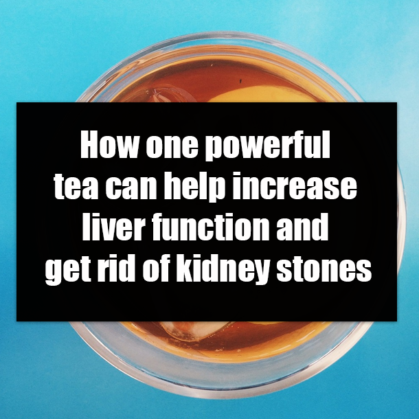 How one powerful tea can help increase liver function and get rid of kidney stones