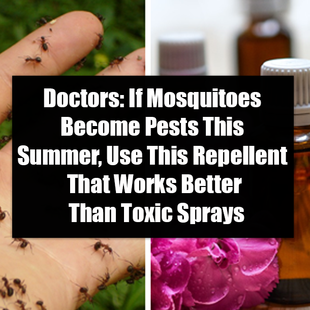 Doctors: If Mosquitoes Become Pests This Summer, Use This Repellent That Works Better Than Toxic Sprays