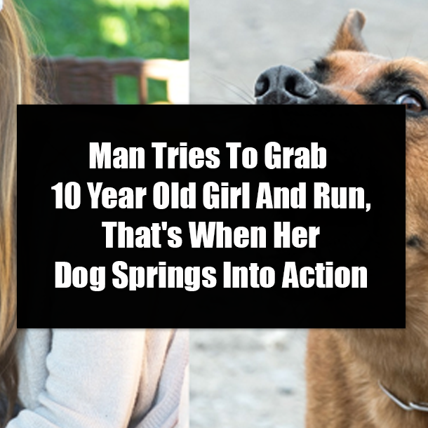 Man Tries To Grab 10 Year Old Girl And Run, That's When Her Dog Springs Into Action