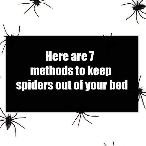Here are 7 methods to keep spiders out of your bed