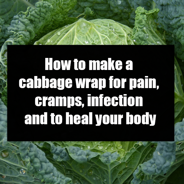 How to make a cabbage wrap for pain, cramps, infection and to heal your body
