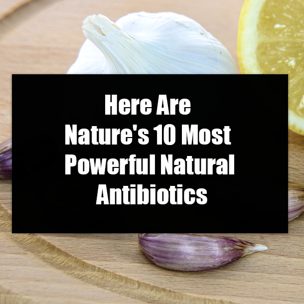 Here Are Nature's 10 Most Powerful Natural Antibiotics