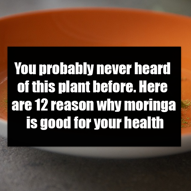 You probably never heard of this plant before. Here are 12 reason why moringa is good for your health