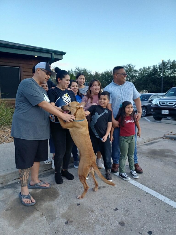 ‘Christmas miracle’: Adoption event led to missing dog reuniting with her family - picture 5