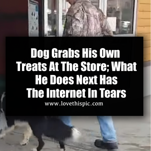 ​Dog Grabs His Own Treats At The Store; What He Does Next Has The Internet In Tears