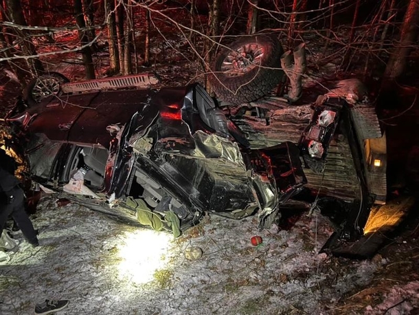 ‘Guardian angel’ dog saves owner's life by running to get help after truck crash - picture 3