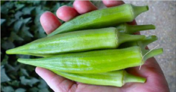 ​Learn How To Eat Lady's Fingers (Okra) - Helps With Diabetes, Blindness, Asthma, Cancer And More - picture 2