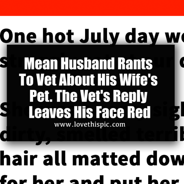 ​Mean Husband Rants To Vet About His Wife's Pet. The Vet's Reply Leaves His Face Red