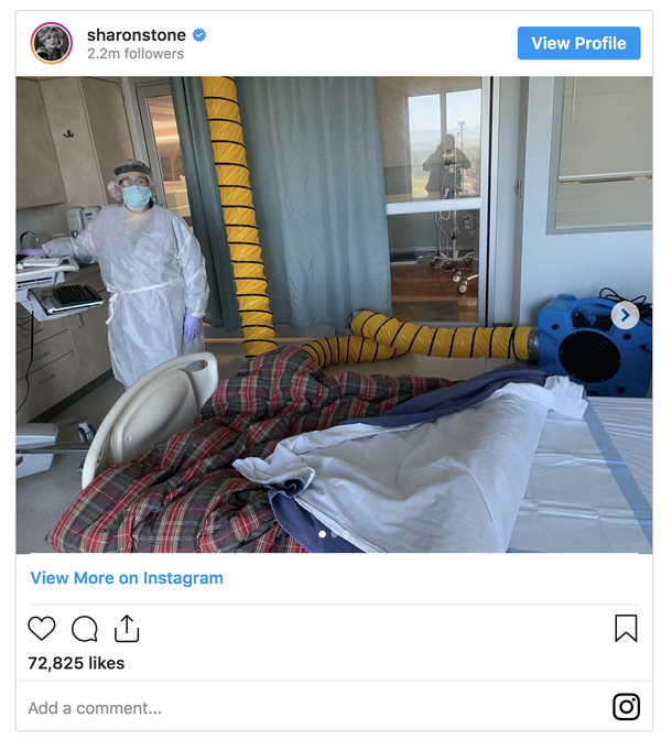 "One of you Non-Mask wearers did this": Sharon Stone sounds off as her sister fights for her life in the hospital - picture 3
