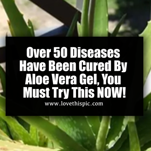 ​Over 50 Diseases Have Been Cured By Aloe Vera Gel, You Must Try This NOW!