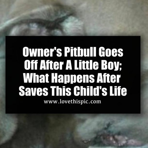 ​Owner's Pitbull Goes Off After A Little Boy; What Happens After Saves This Child's Life