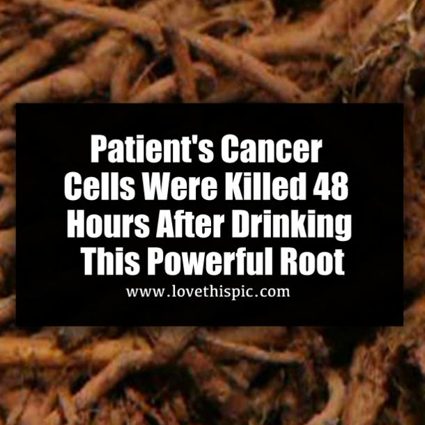 ​Patient's Cancer Cells Were Killed 48 Hours After Drinking This Powerful Root