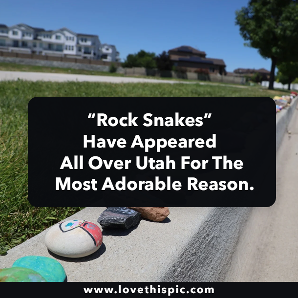 “Rock Snakes” Have Appeared All Over Utah For The Most Adorable Reason.