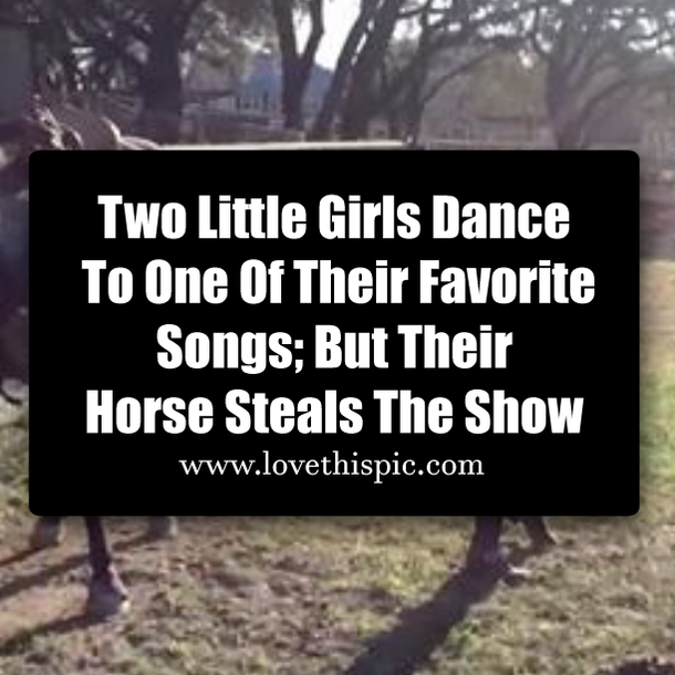 ​Two Little Girls Dance To One Of Their Favorite Songs; But Their Horse Steals The Show