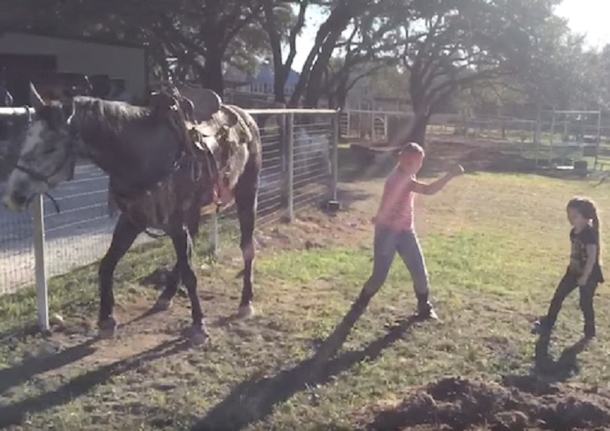 ​Two Little Girls Dance To One Of Their Favorite Songs; But Their Horse Steals The Show - picture 2