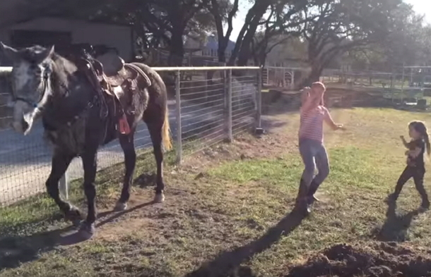 ​Two Little Girls Dance To One Of Their Favorite Songs; But Their Horse Steals The Show - picture 5