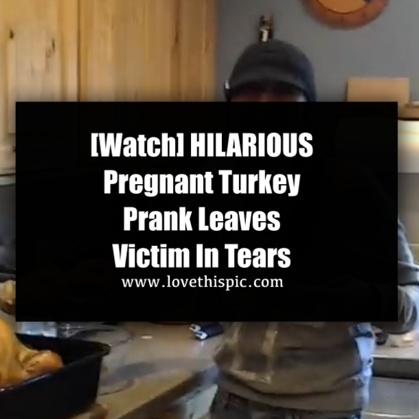 [Watch] Pregnant Turkey Prank Takes The Cake As Best Prank Ever!