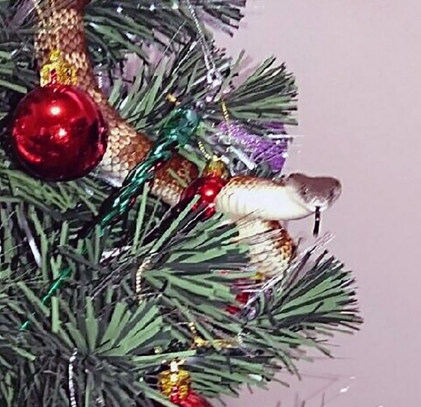 ​Woman Decorates Christmas Tree, As She Admires Her Work, Something Begins To Move Inside The Tree - picture 2