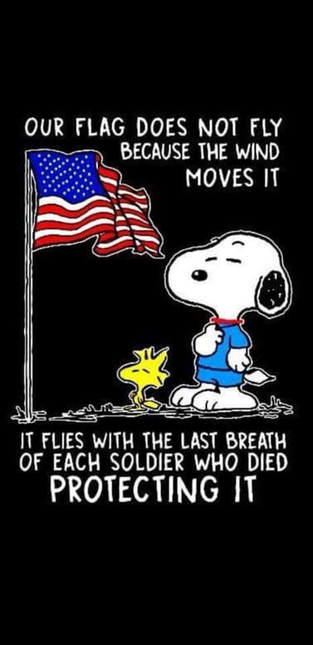 10 4th Of July Snoopy Images & Quotes - picture 3