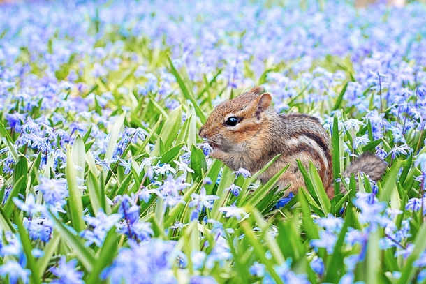 10+ Adorable Animal Photography Images That Will Warm Your Heart - picture 8