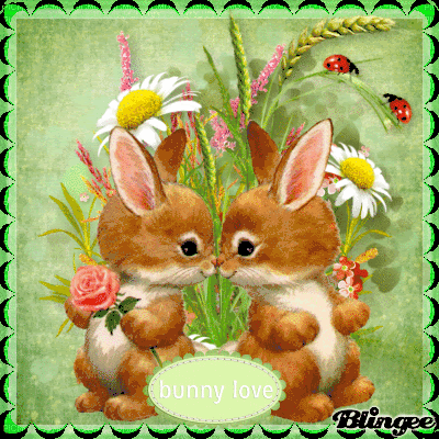 10 Adorable Easter Bunny Gifs To Love! - picture 4
