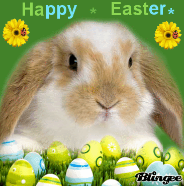10 Adorable Easter Bunny Gifs To Love! - picture 8