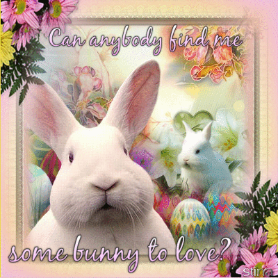 10 Adorable Easter Bunny Gifs To Love! - picture 9