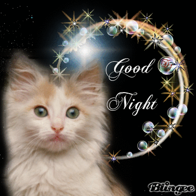 10 Adorable Good Night Gifs And Quotes - picture 12