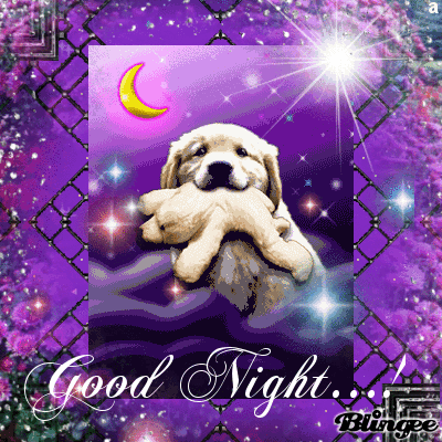 10 Adorable Good Night Gifs And Quotes - picture 4