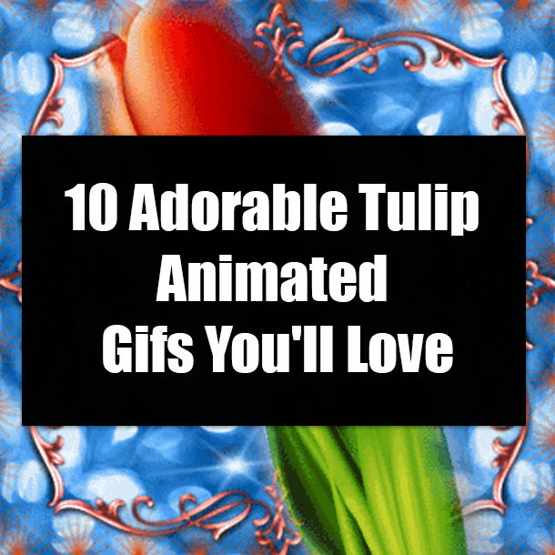 10 Adorable Tulip Animated Gifs You'll Love