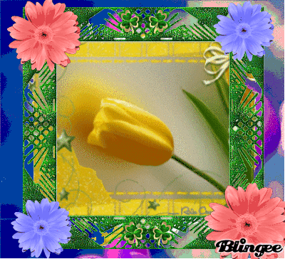 10 Adorable Tulip Animated Gifs You'll Love - picture 10