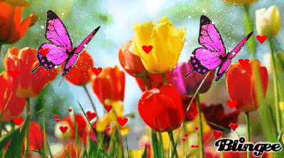 10 Adorable Tulip Animated Gifs You'll Love - picture 9