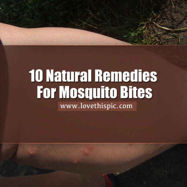 10 All Natural Remedies For Mosquito Bites