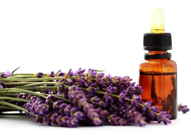 10 All Natural Remedies For Mosquito Bites - picture 9