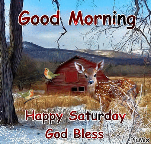 10 Amazing Good Morning Saturday Images - picture 12