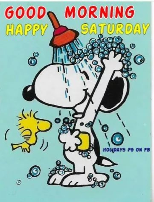 10 Amazing Good Morning Saturday Images - picture 9
