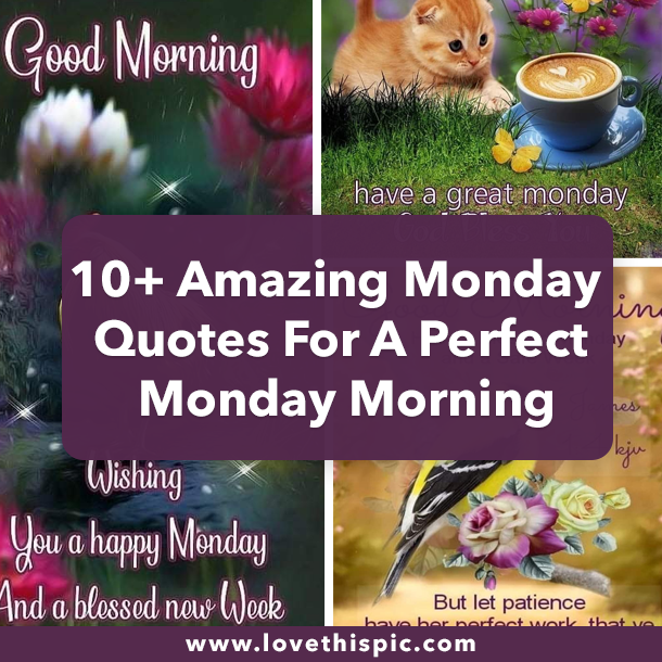 10+ Amazing Monday Quotes For A Perfect Monday Morning