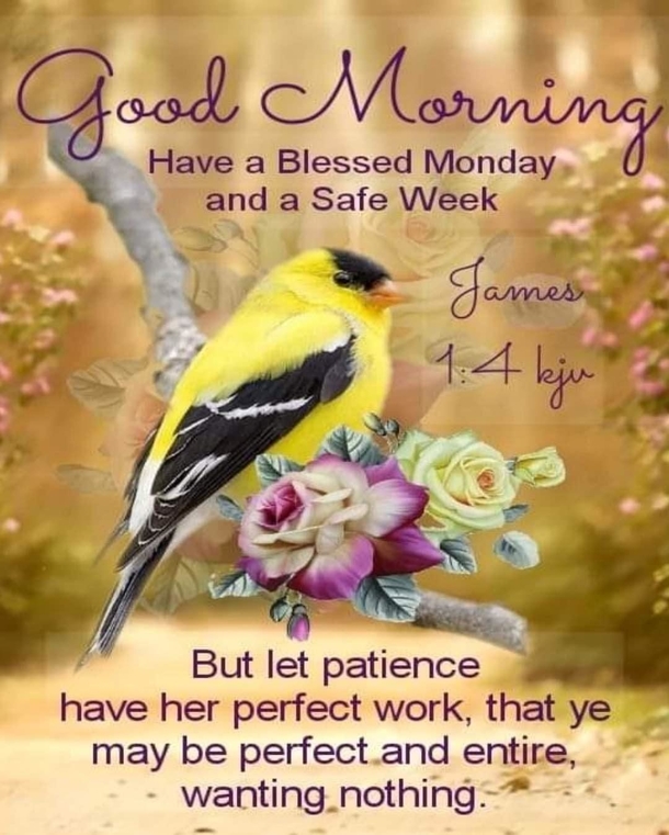 10+ Amazing Monday Quotes For A Perfect Monday Morning - picture 12