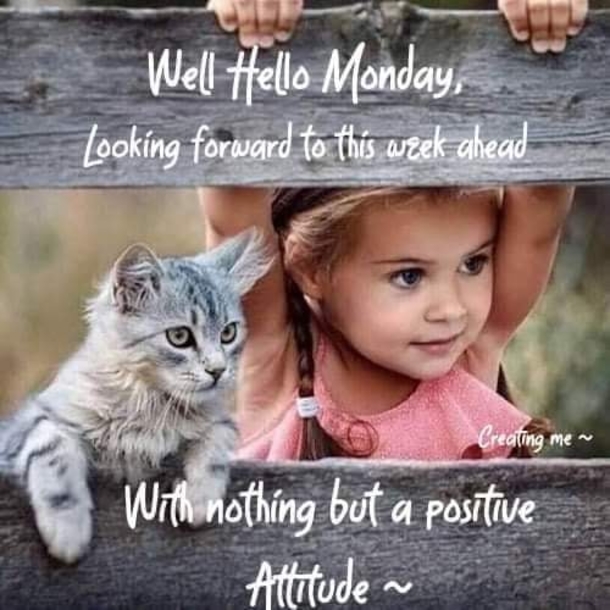 10+ Amazing Monday Quotes For A Perfect Monday Morning - picture 2