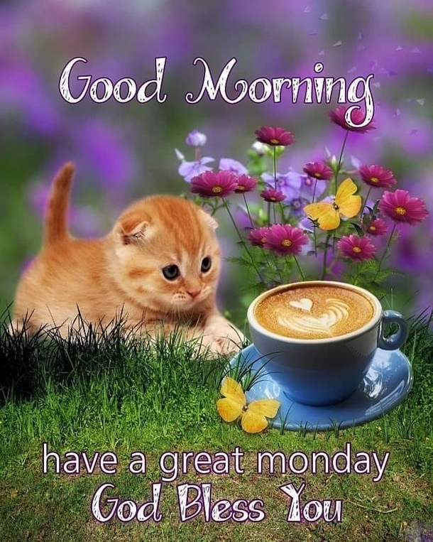 10+ Amazing Monday Quotes For A Perfect Monday Morning - picture 9