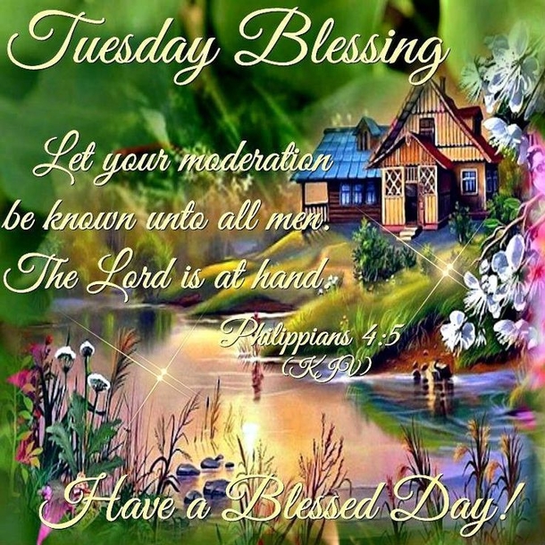 10 Amazing Tuesday Blessings And Quotes - picture 5