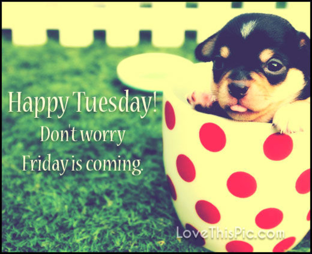 10 Amazing Tuesday Blessings And Quotes - picture 6