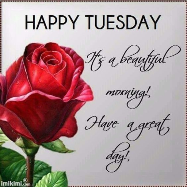 10 Amazing Tuesday Wishes & Blessings - picture 11