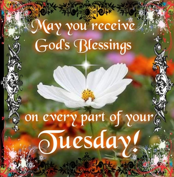 10 Amazing Tuesday Wishes & Blessings - picture 7